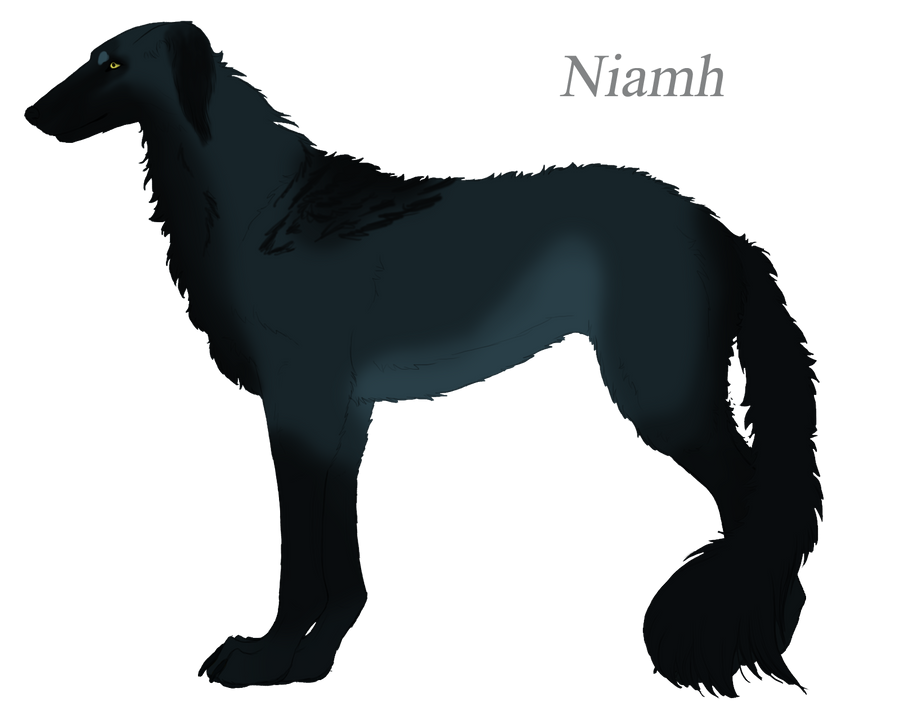 Ref Customize Design Niamh - Reference by ChaoticPonies on DeviantArt