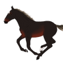 A2344 The Renegade Queen