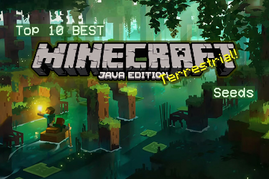 Minecraft Java Edition 1.16.5