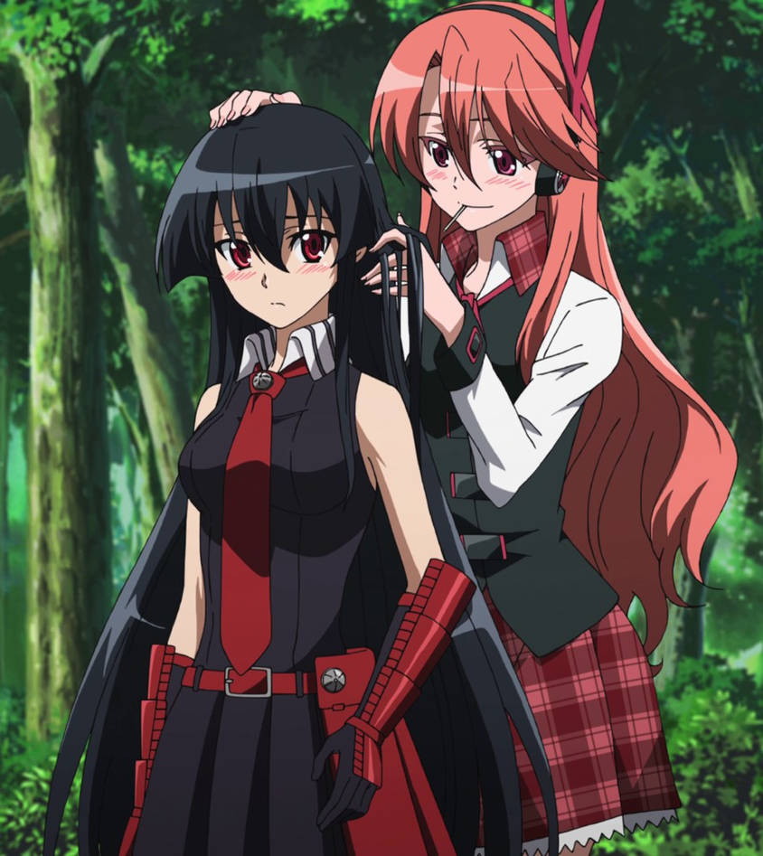 Akame - Akame ga Kill! - Episode 2 by AcidWaifu on DeviantArt