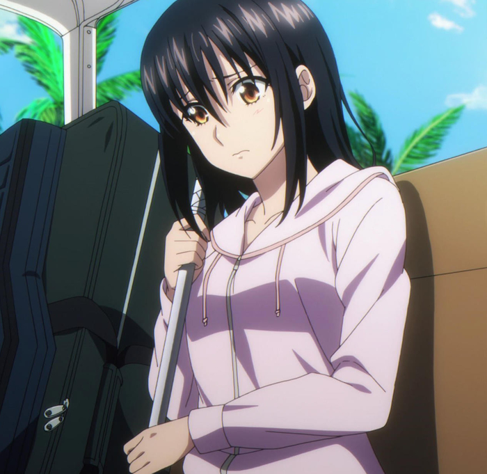 Strike the Blood Anime Officially Ends After 9 Years - Anime Corner