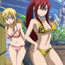 Fairy Tail Stitch: Erza amd Lucy 02