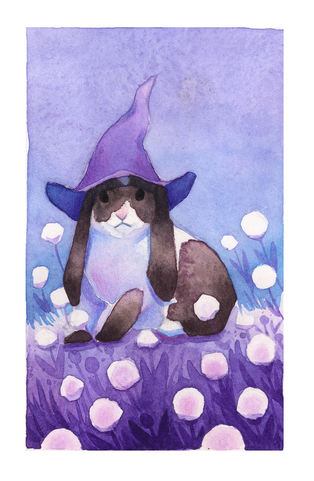 Bell Witch Rabbit Witch Rabbit by Thanda on DeviantArt