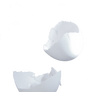 egg shell PNG