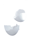egg shell PNG