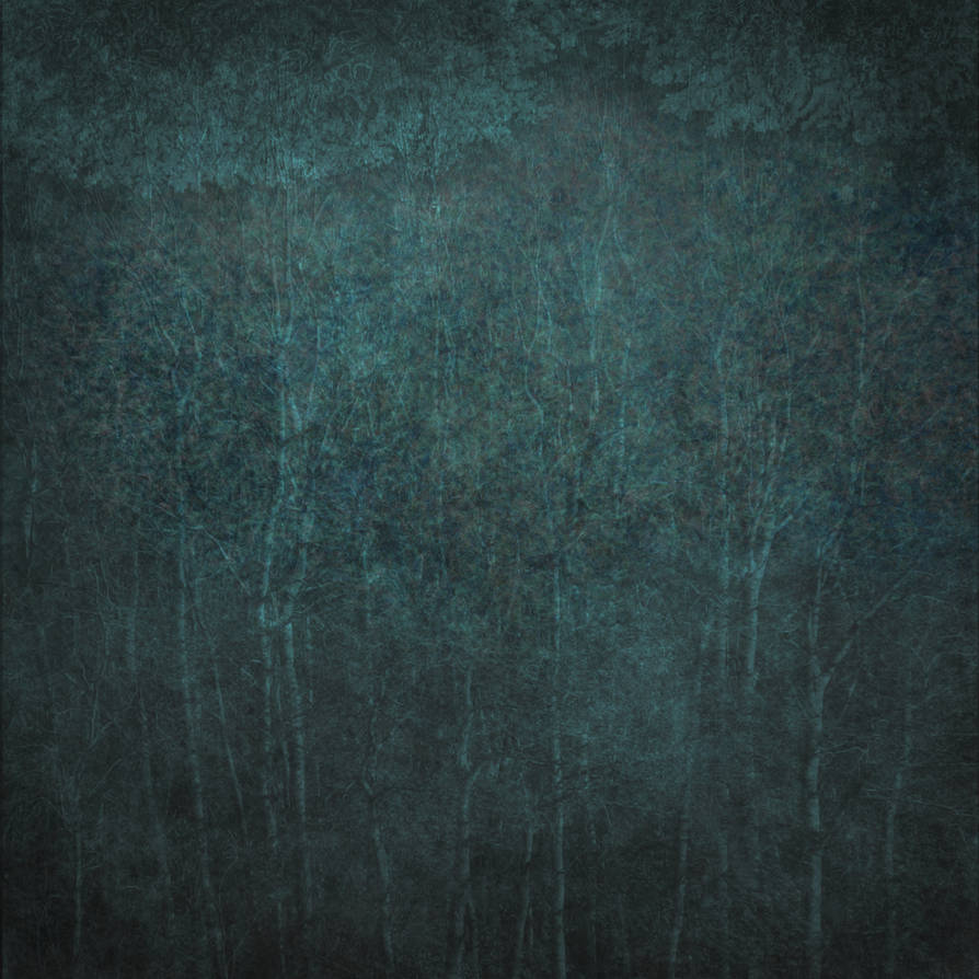 Forest texture by Amalus Forest texture by Amalus