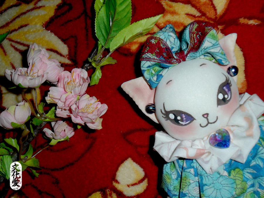Miss Pretty Kitty - Close Up by Bunka-Love on DeviantArt