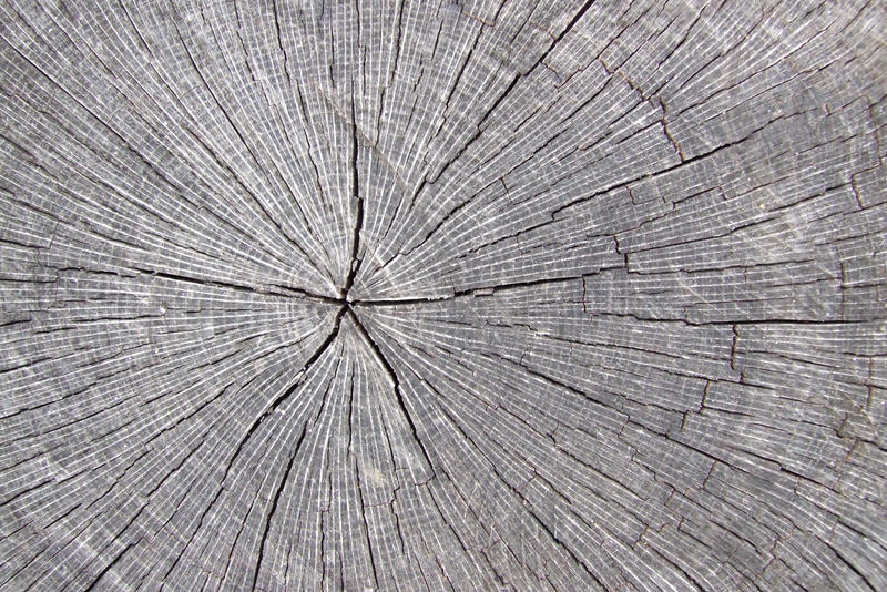 Wood Texture 3