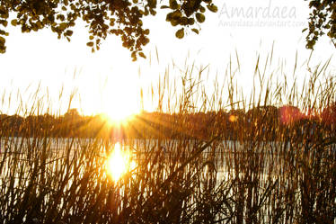 Sunset at the lake