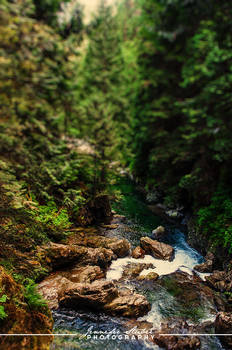 Lynn Canyon