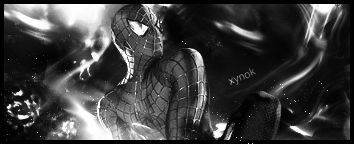 Spiderman sig B+W