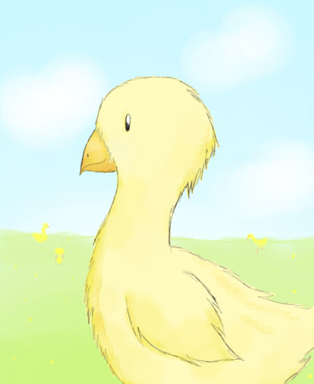 Chocobo!