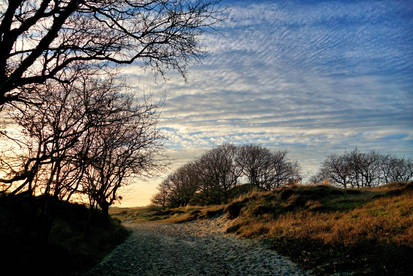 Under A Wavy Sky