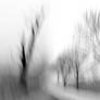 Winter Abstraction