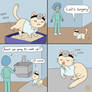 Doctor Cat fancomic