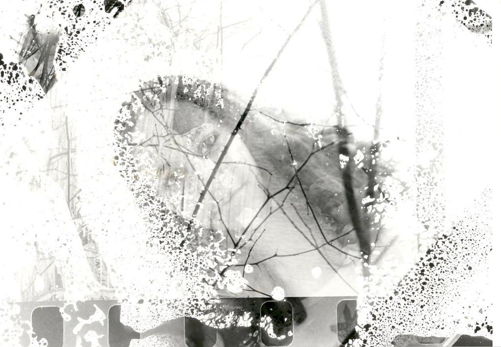 sprayed face by dresdendoll19 on DeviantArt