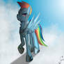 .:Armor Dash:.