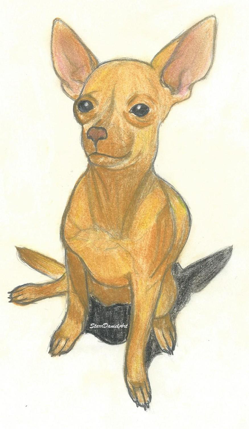 Realistic Chihuahua