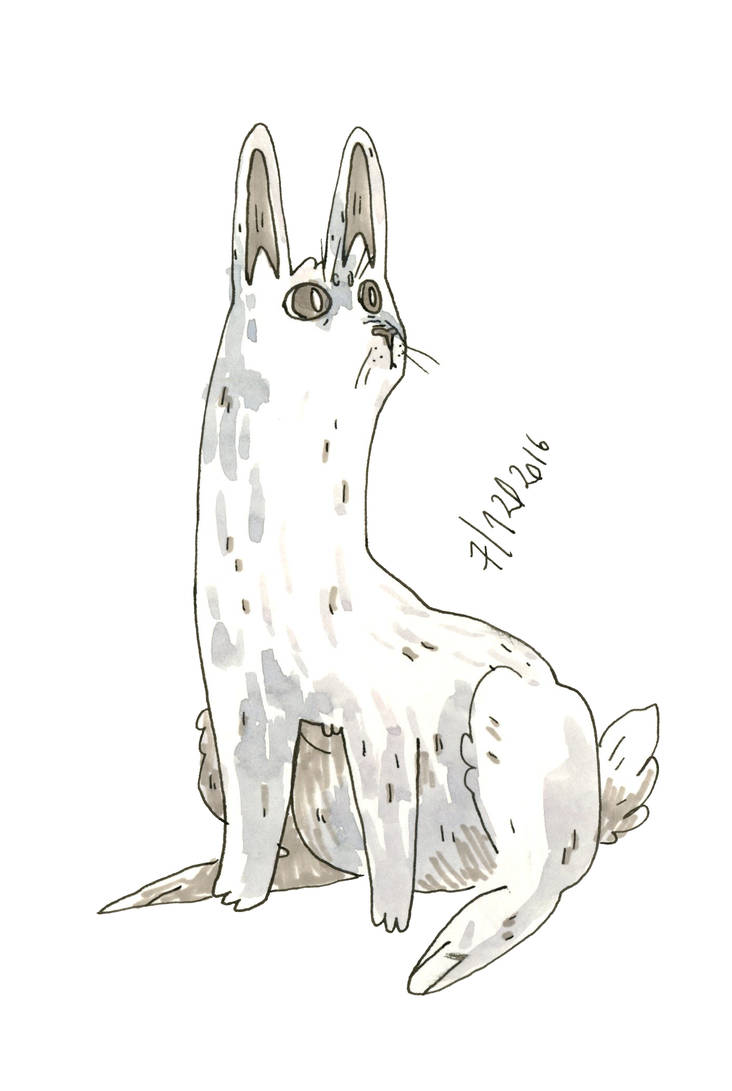 Long Neck Rabbit by fizzledlined on DeviantArt