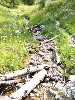 Ram Creek Hot Springs VI