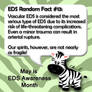 EDS Fact 13