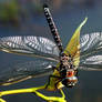 Dragonfly