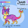 Juno reference