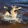 Playing in water