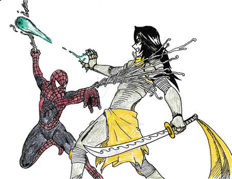 Rough Aiden versus Spider-man