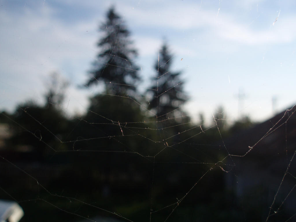 Spider View Strnth Spider's VieW by kitty0727 on DeviantArt