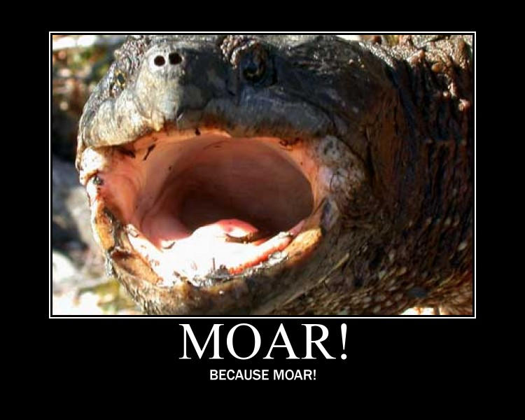 Moarr MOAR IS MOAR AND I WANT MOAR by Deathsabre on DeviantArt