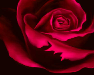 Explore the Best Roses Art | DeviantArt