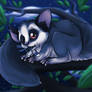 Bushbaby