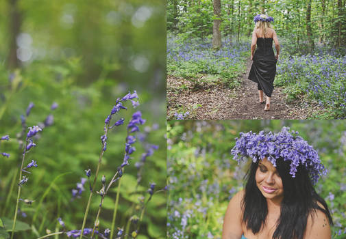 Ladies of the Forest