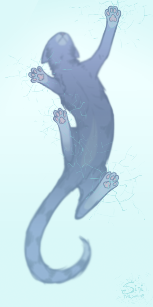 Ice Ice Jayfeather