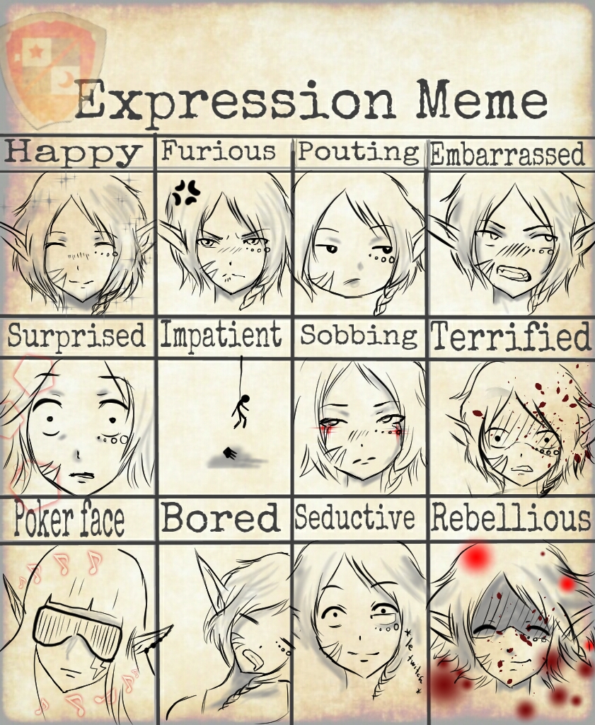 Aryn's Expression Meme