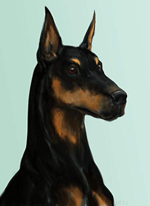 Doberman