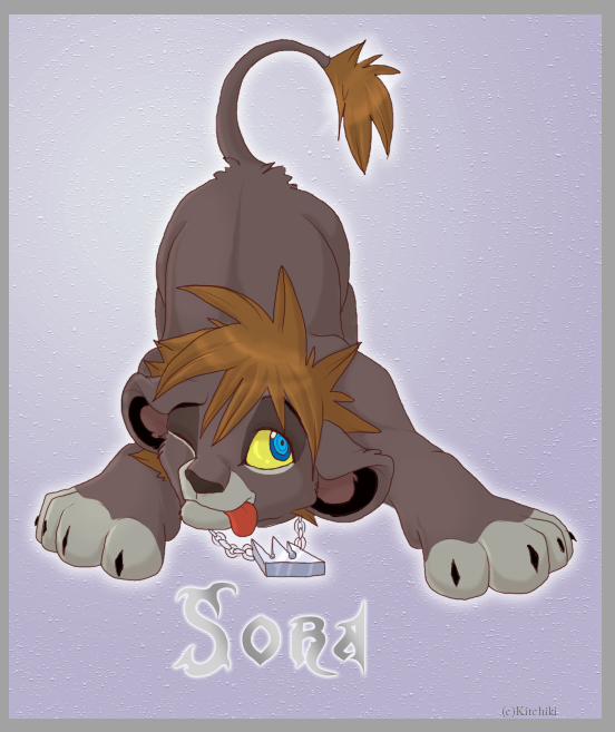 Derpy Sora