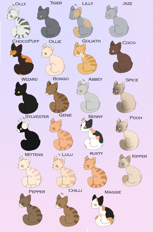 All The Cats I have Known