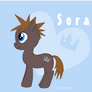 FIM: Sora