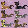 Butterfly Cub adopts