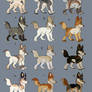 Canine Adoptables