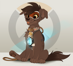 Tracer Pup