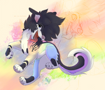 Contest by Kitchiki