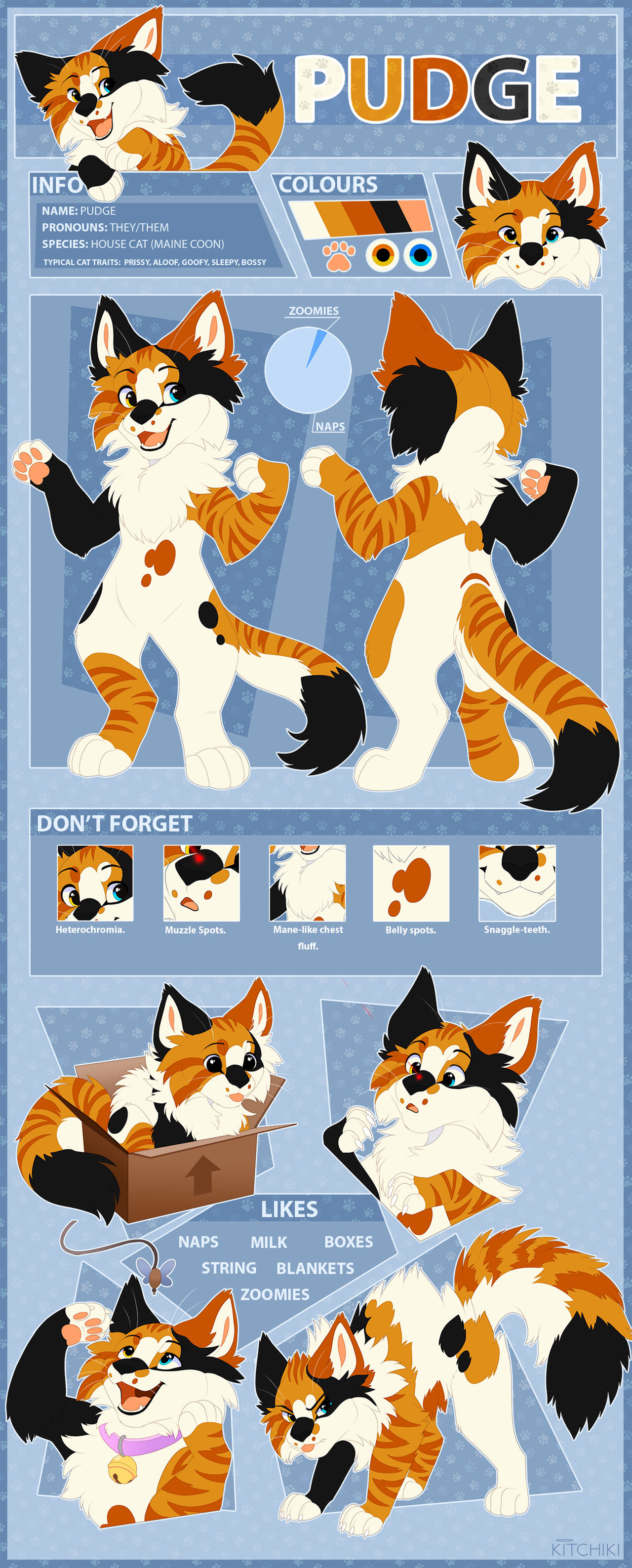Pudgee Deviantart Pudge The Cat-Detailed Refsheet by Kitchiki on DeviantArt