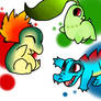 Johto Starters