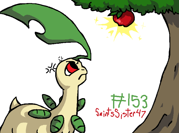 #153 Bayleaf