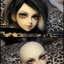 Face-up: MiniFee Shiwoo - 2