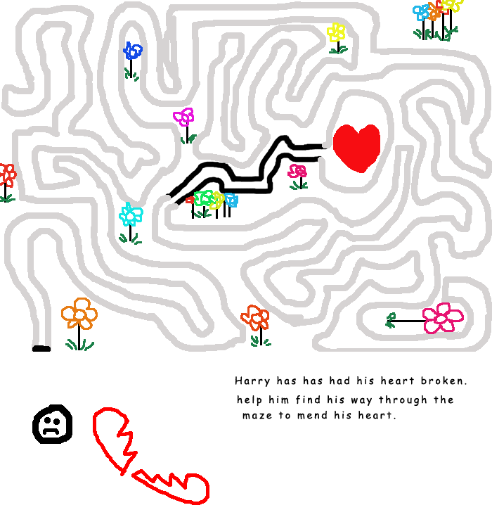 Harrys amazing maze