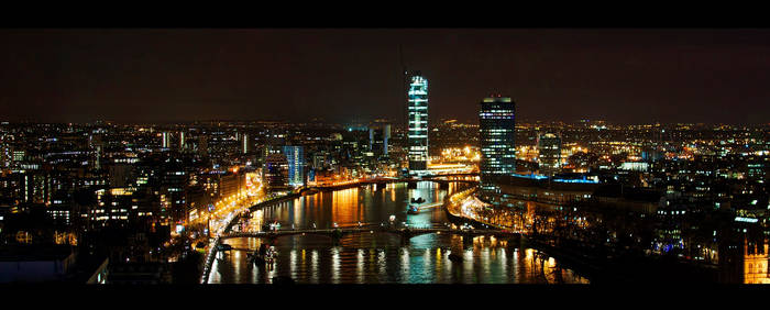 View from London Eye